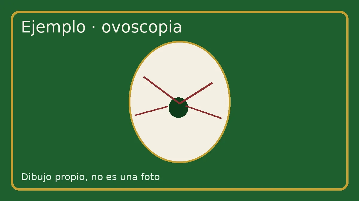 Ovoscopia de huevos fertilizados en incubadora, embrión visible a contraluz